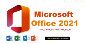 Microsoft Office 2021 Professional Plus